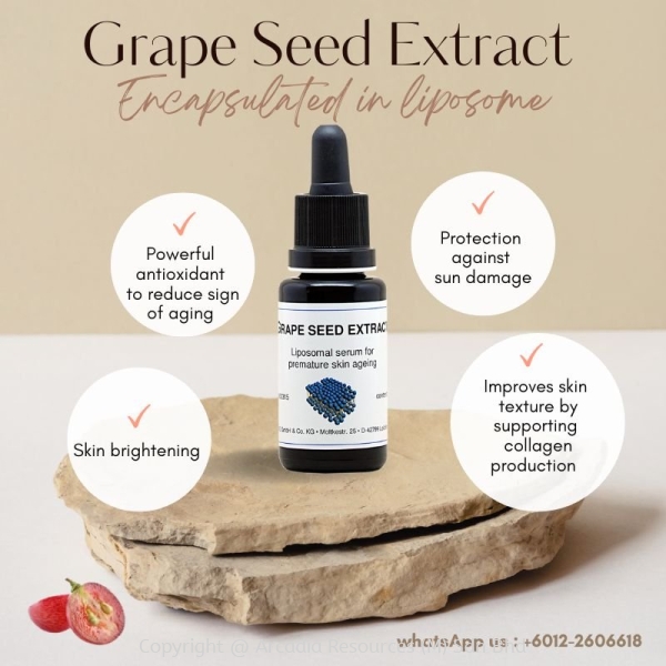 Grape Seed Extract 20 ml Aging Skin Antioxidant 抗氧化 Petaling Jaya (PJ), Selangor, Malaysia. Suppliers, Supplies, Supplier, Wholesale | Dermaviduals Malaysia ~ Singapore