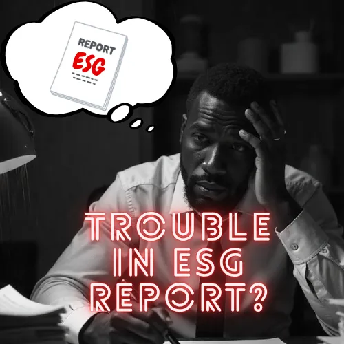 Still Struggling with ESG Reports? Let Us Handle It for You!