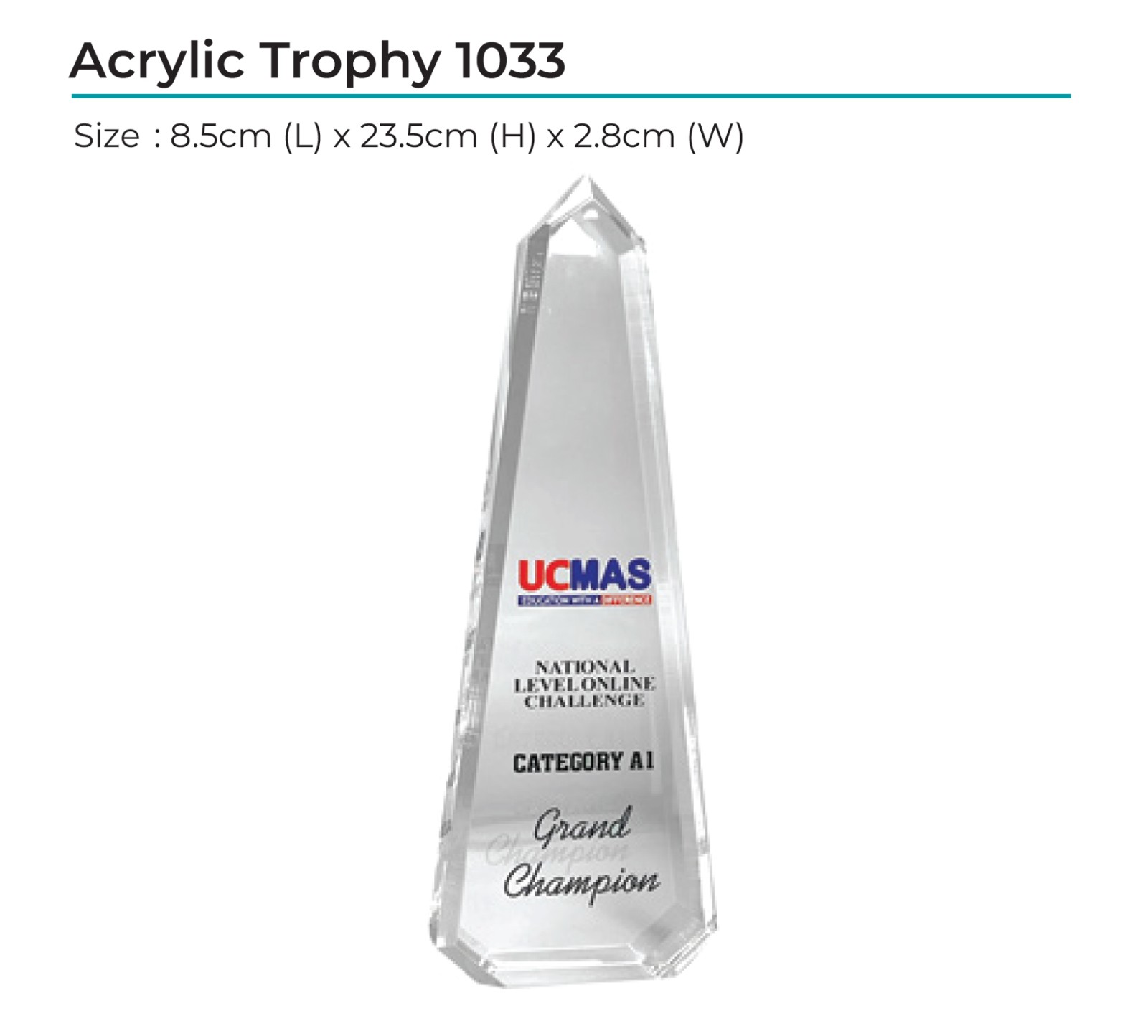Acrylic Award 1033