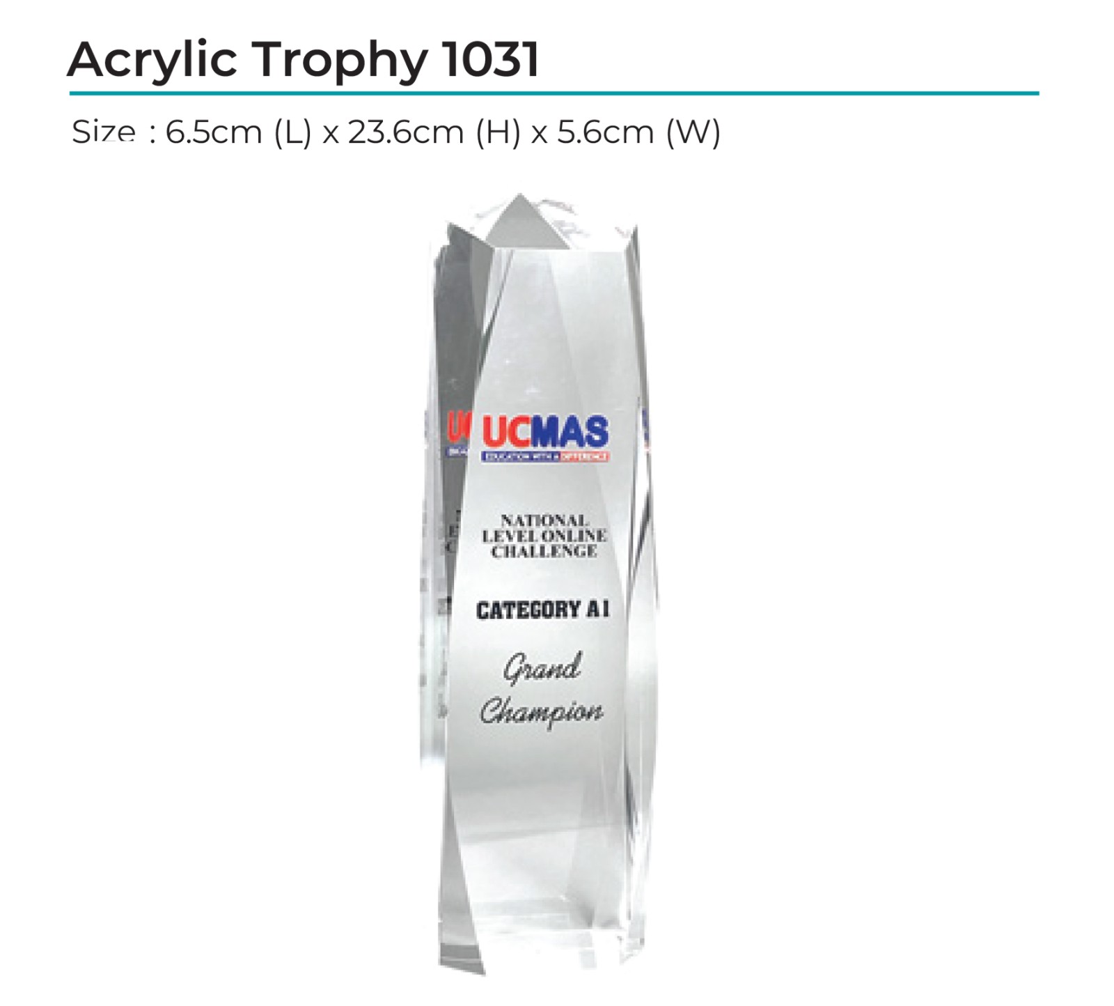 Acrylic Award 1031