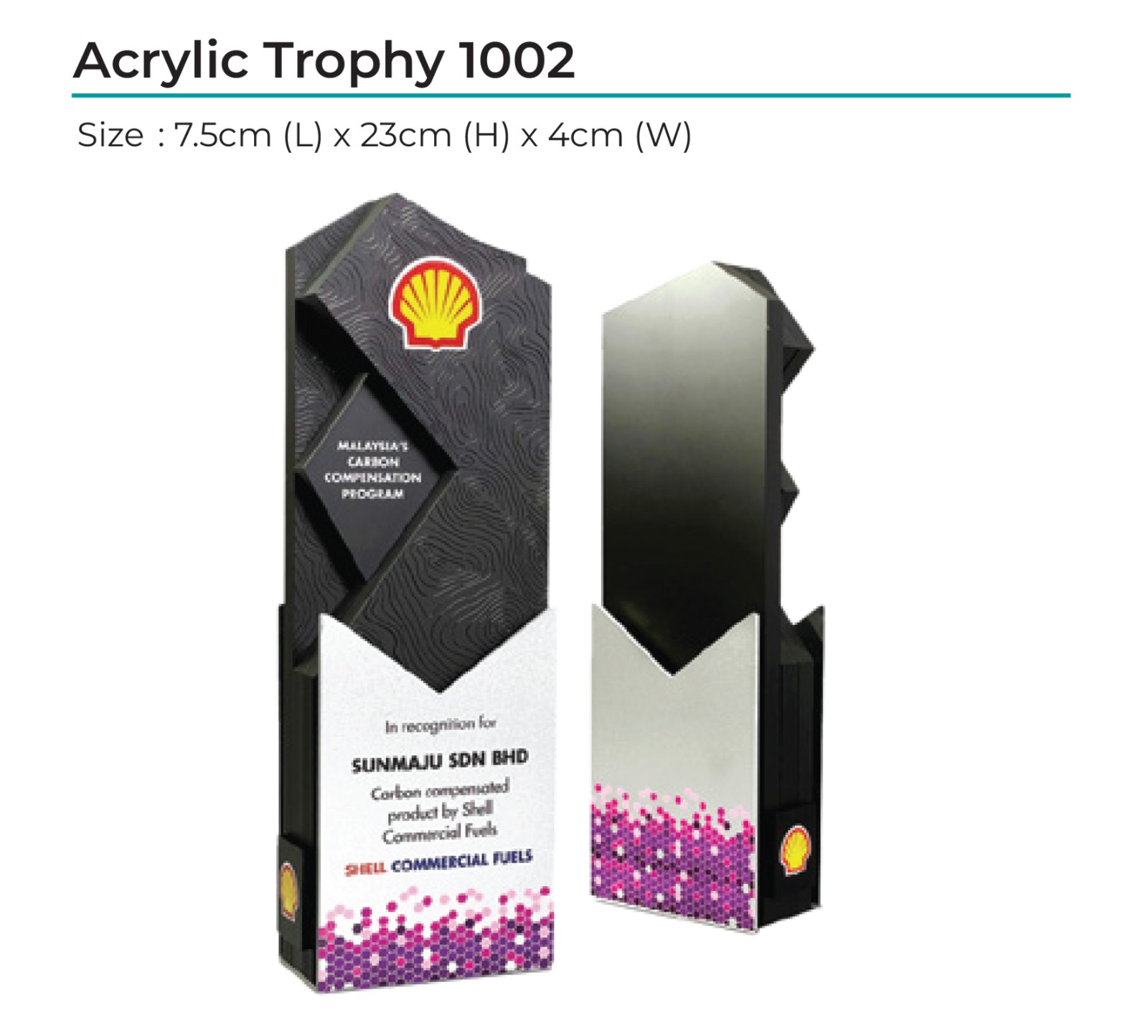 Acrylic Award 1002