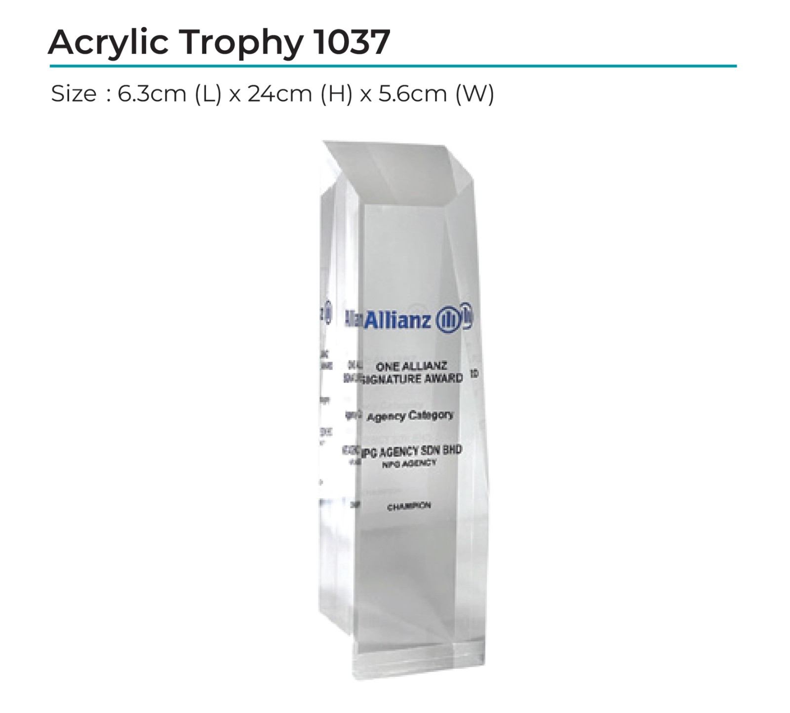 Acrylic Award 1037