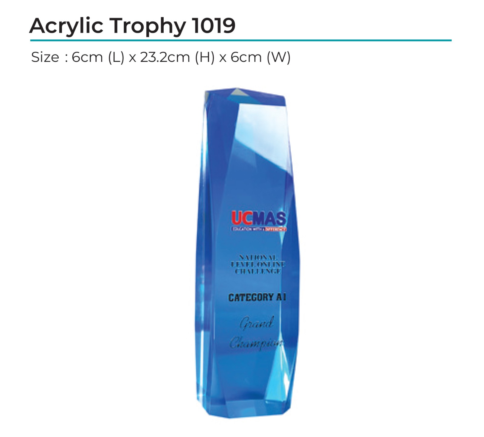 Acrylic Award 1019
