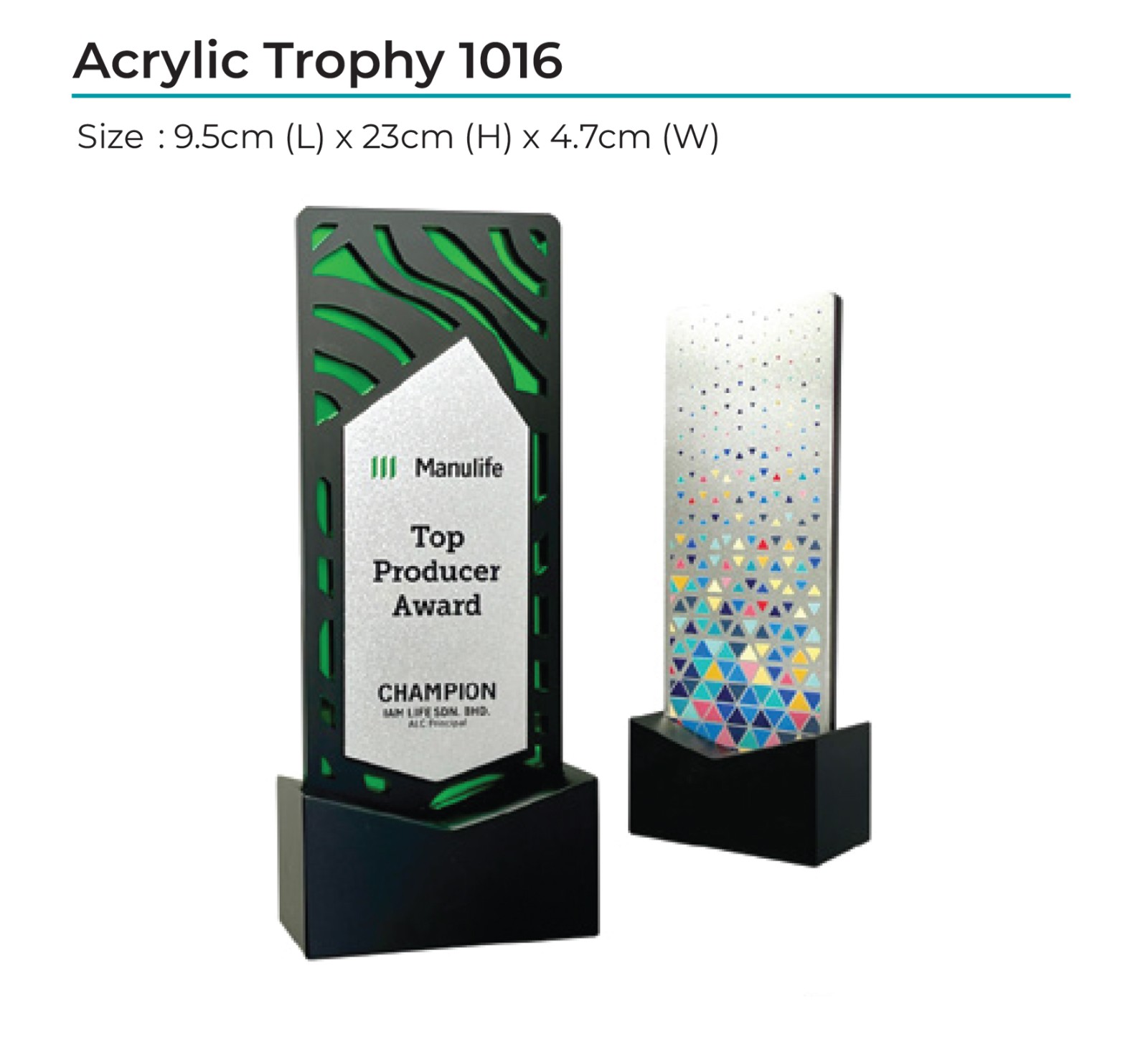 Acrylic Award 1016