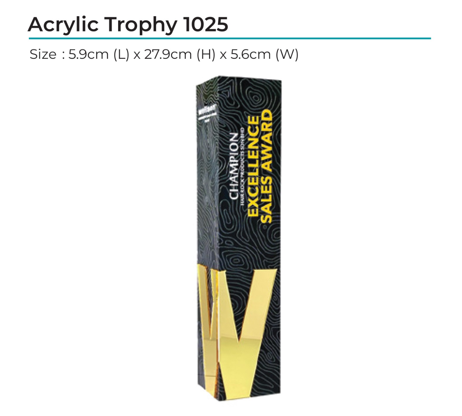 Acrylic Award 1025