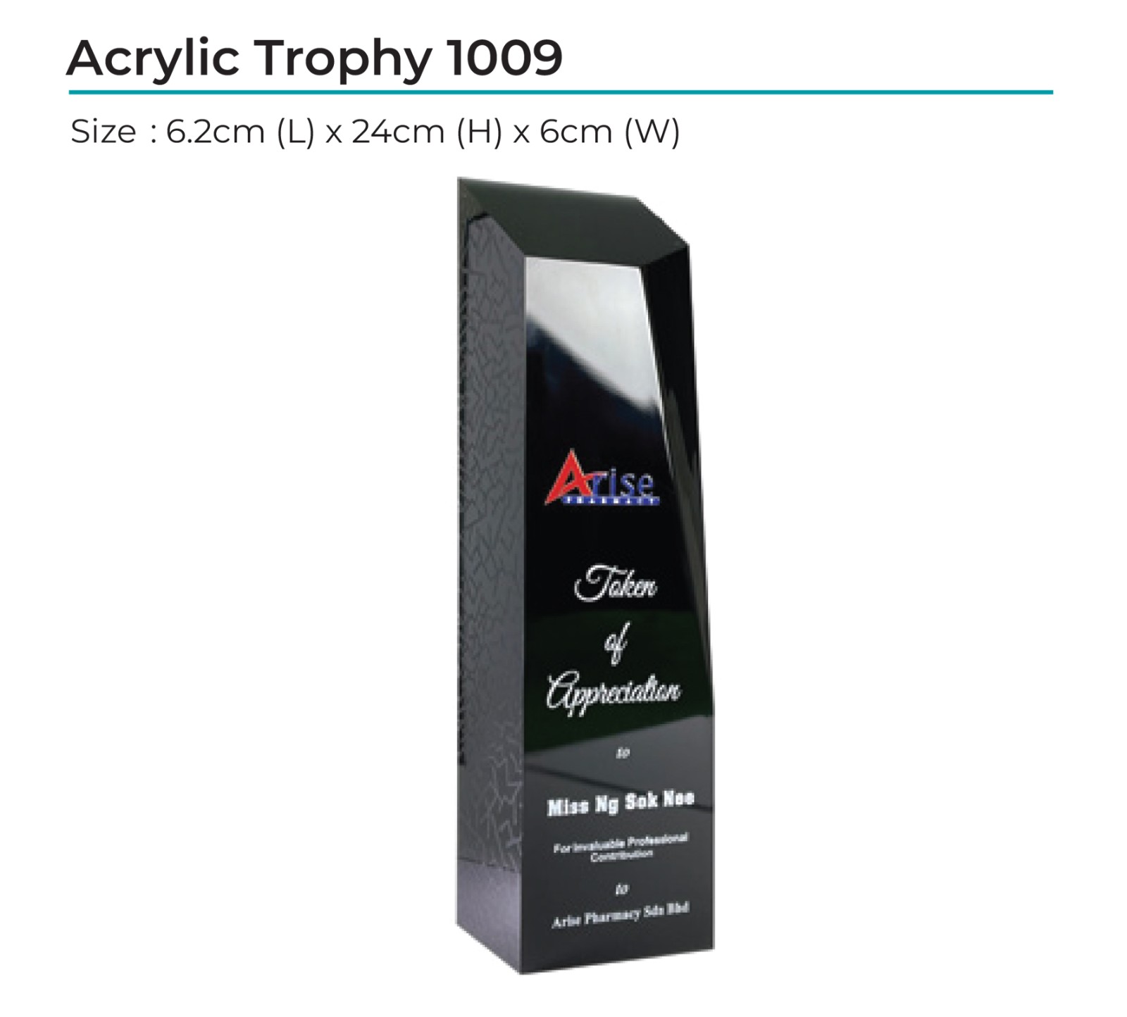 Acrylic Award 1009