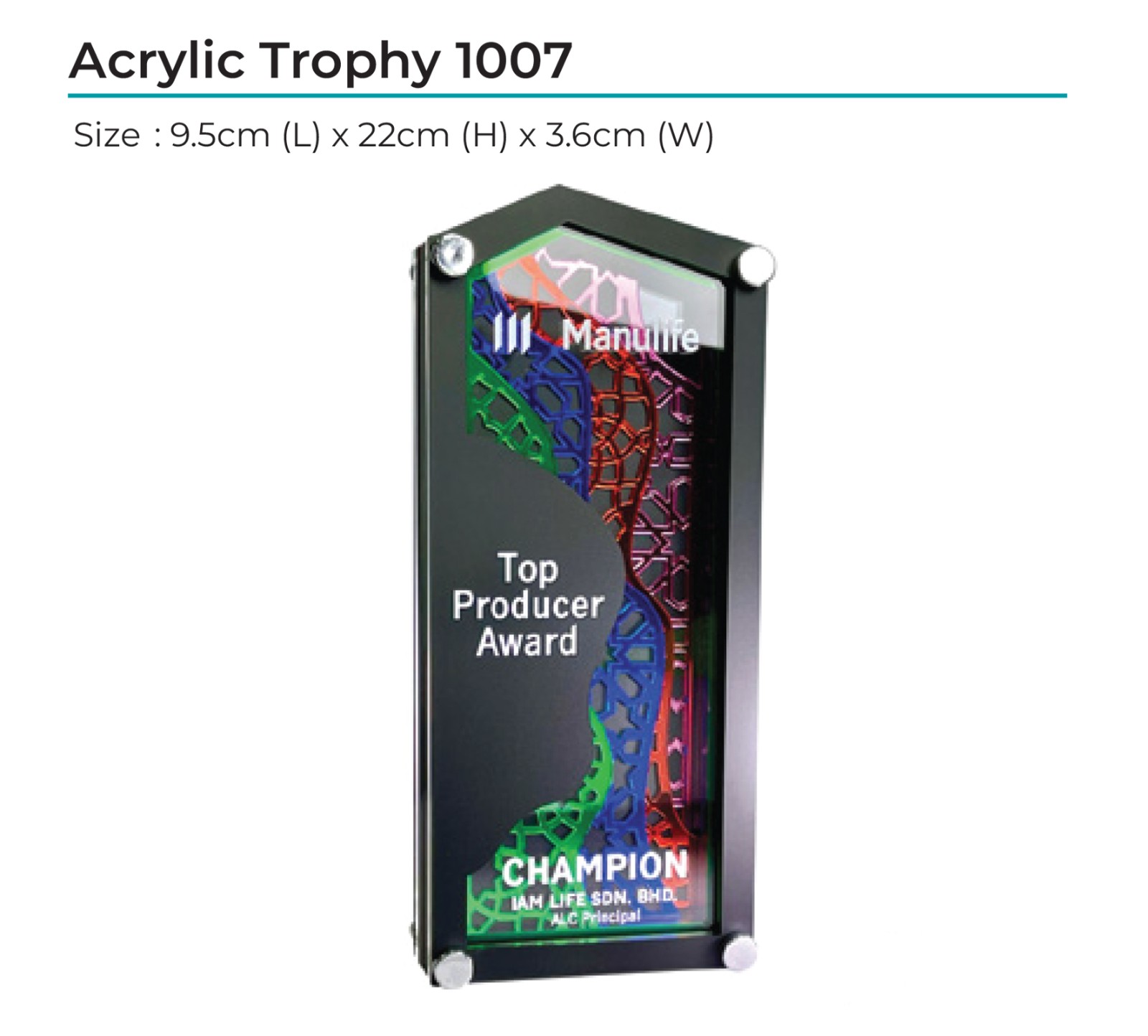 Acrylic Award 1007