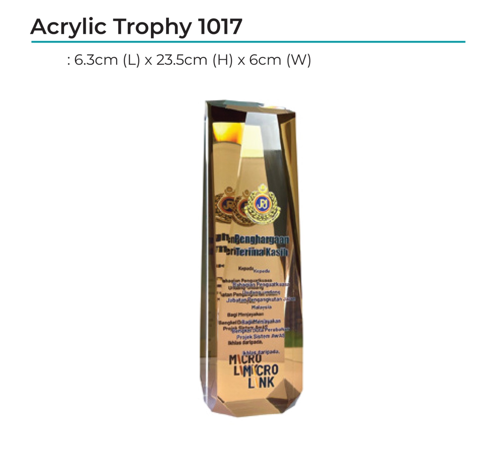 Acrylic Award 1017