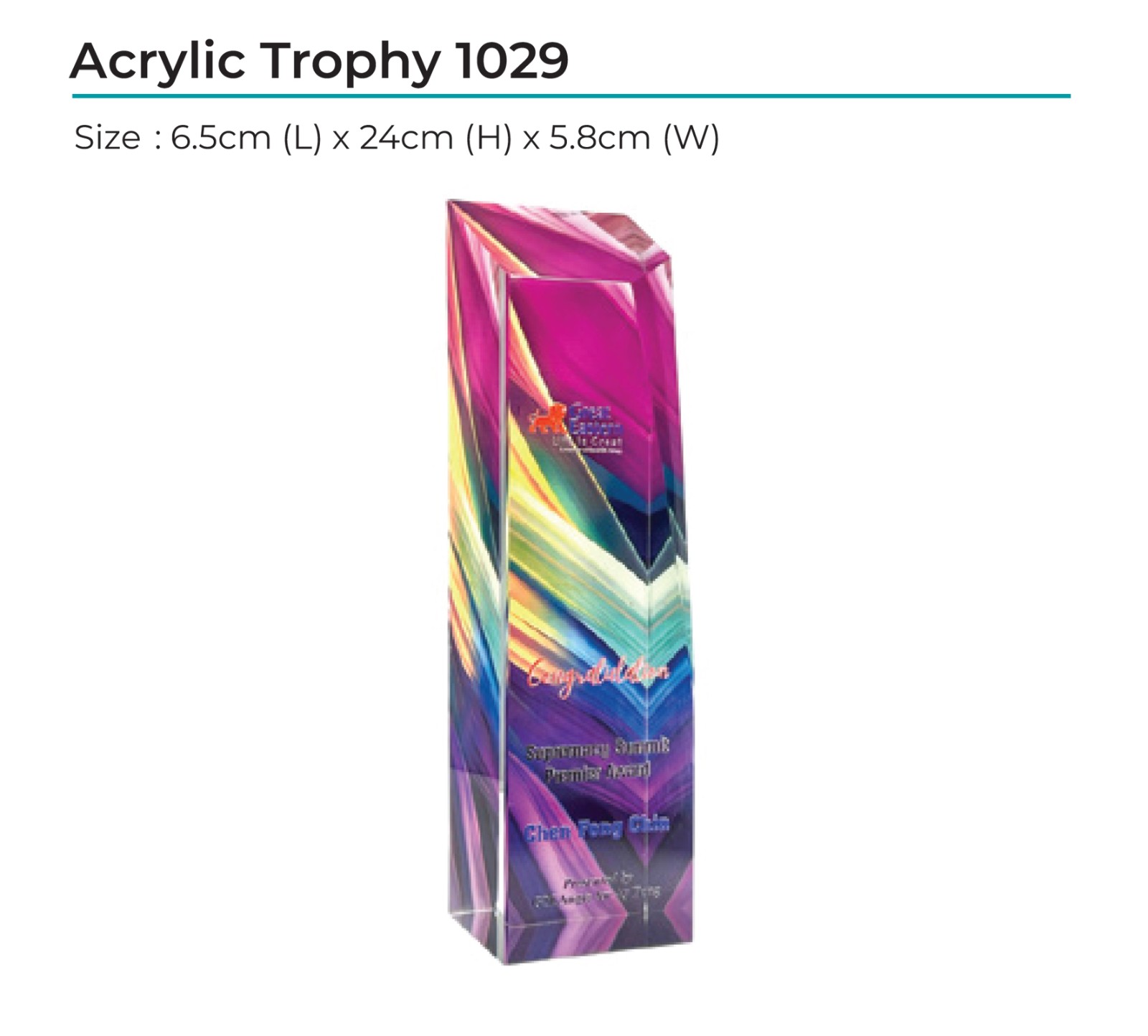 Acrylic Award 1029