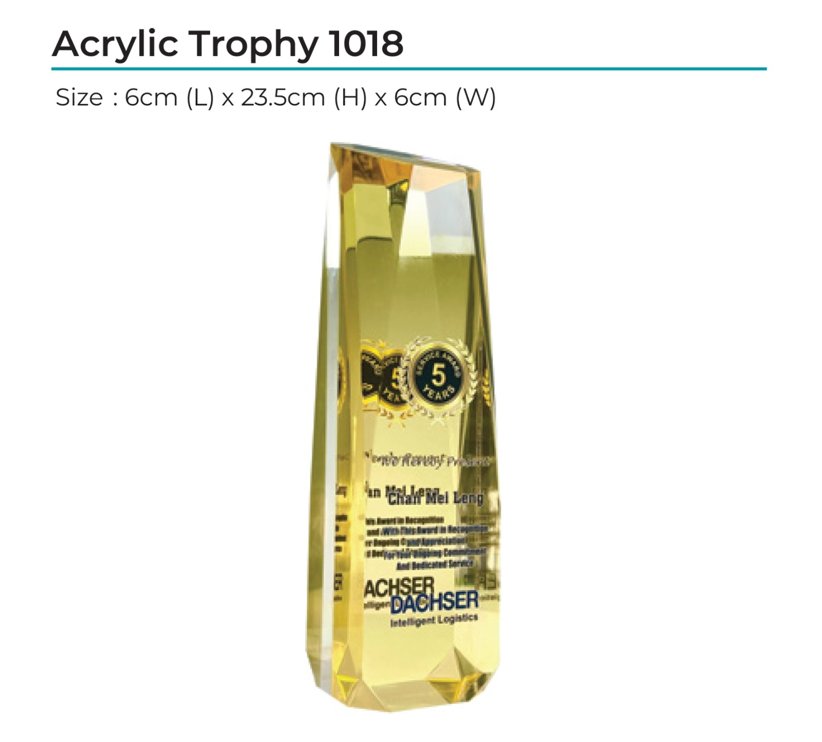 Acrylic Award 1018