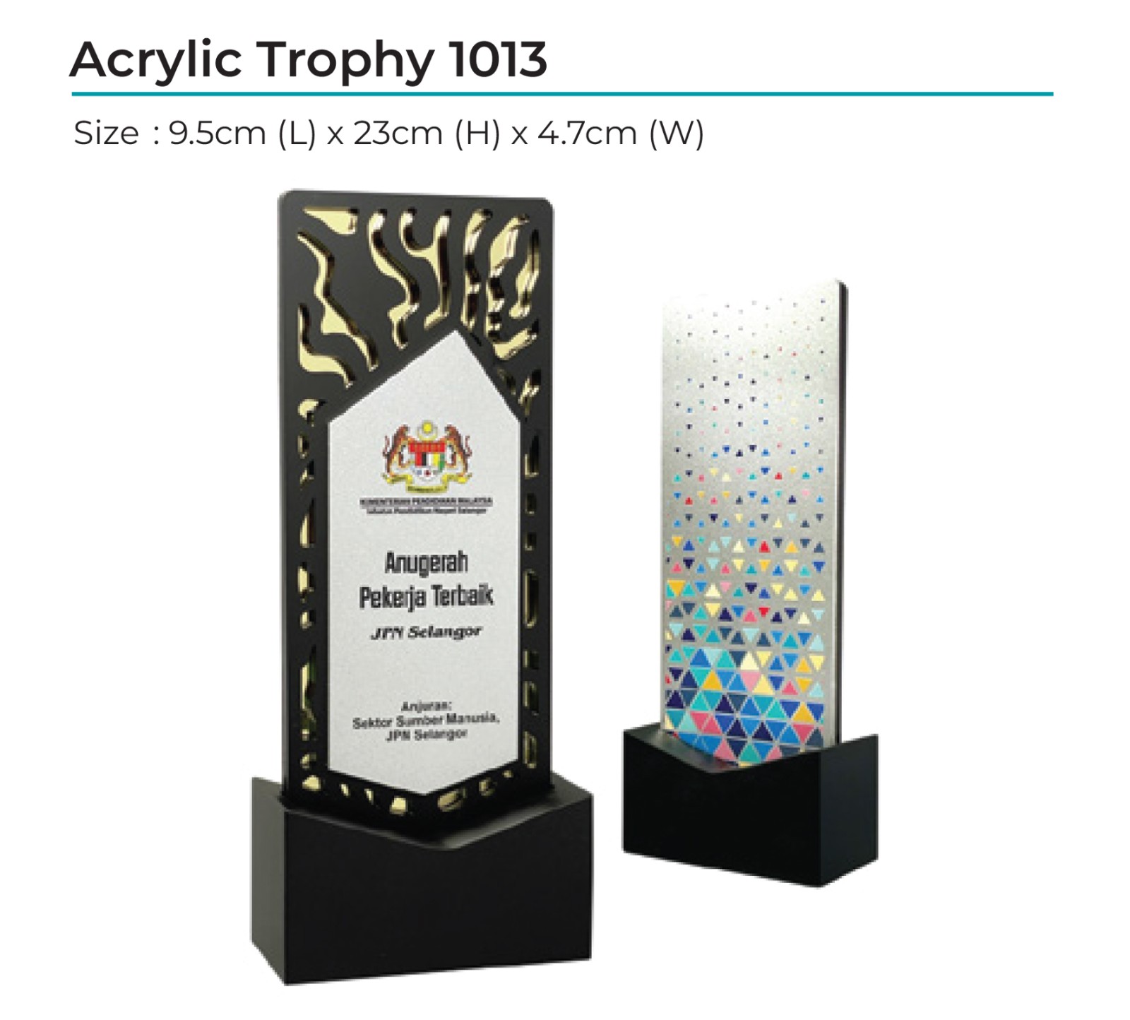 Acrylic Award 1013