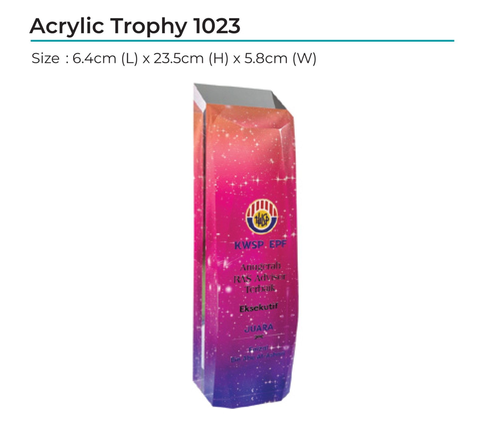 Acrylic Award 1023