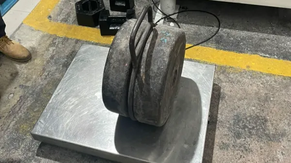 ON-SITE RENEWAL METROLOGY LICENSE FOR 250KG ROLLER TEST WEIGHTS