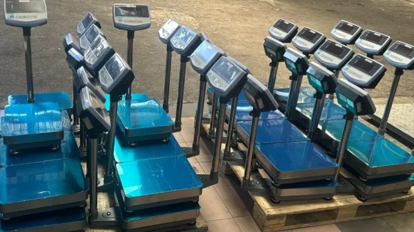 BULK SUPPLY AND METROLOGY LICENSE FOR 34UNITS 150KG PLATFORM WEIGHING SCALE