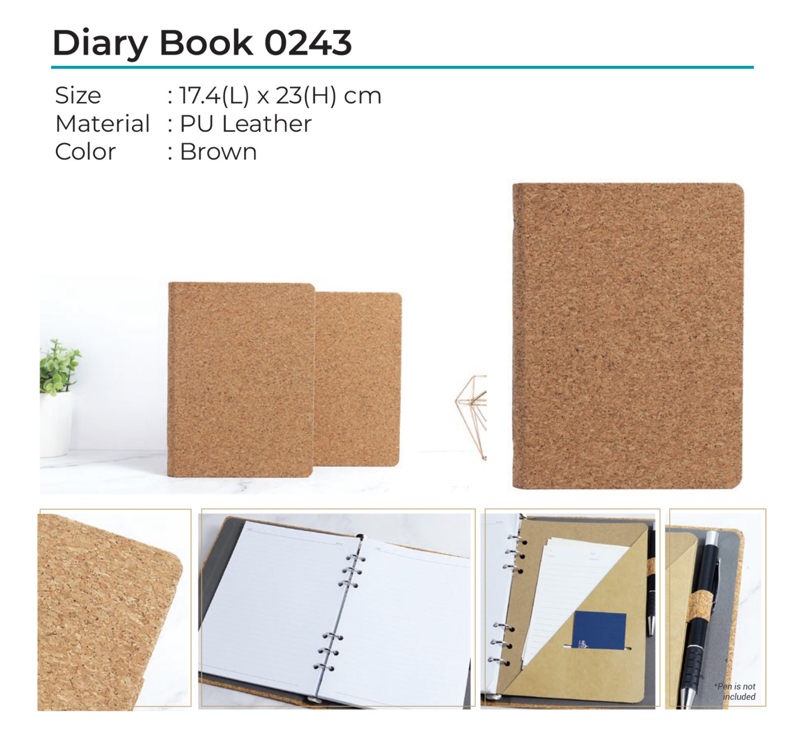 Diary Book 0243