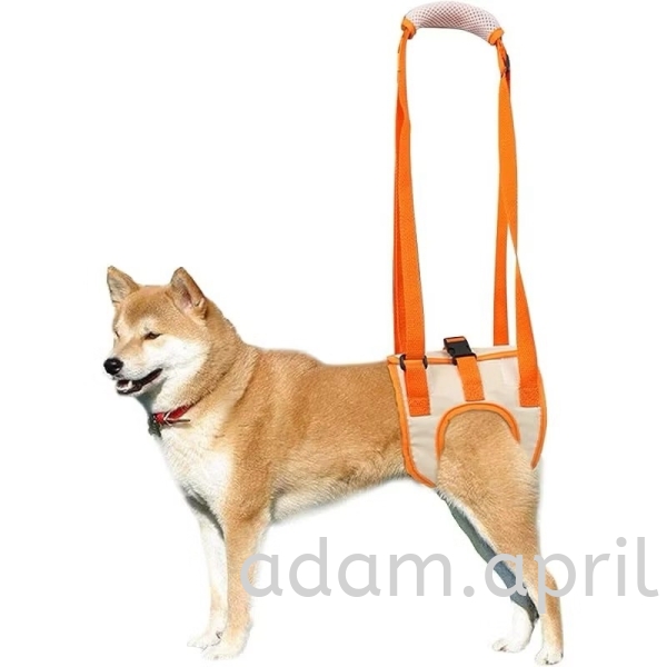 PET BACK LEG SUPPORT HARNESS Others Selangor, Malaysia, Kuala Lumpur (KL), Petaling Jaya (PJ) Supplier, Suppliers, Supply, Supplies | ADAM&APRIL TRADING