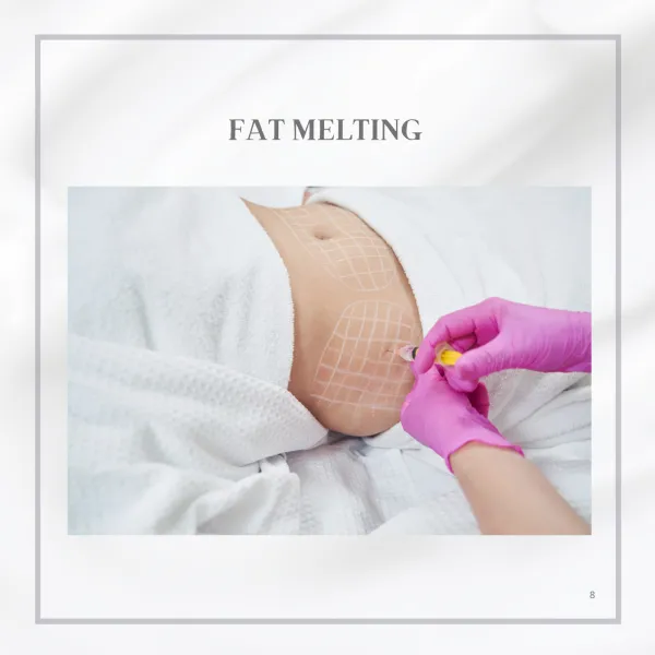 PENCAIRAN LEMAK /Kontur badan dan siluet yang dipertingkatkan /Masa berhenti minimum/ Pilihan yang lebih selamat untuk mereka yang mengelakkan sedutan lemak