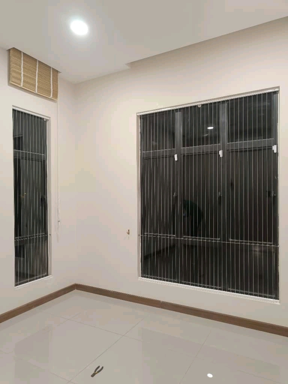 Invisible Grille for done for landed house