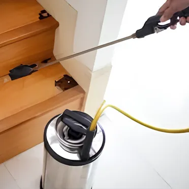 Termite Spot Treatment