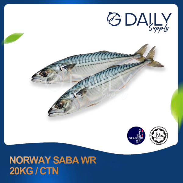 Norway Saba WR Seafood Selangor, Malaysia, Kuala Lumpur (KL), Batu Caves Supplier, Suppliers, Supply, Supplies | G DAILY SUPPLY SDN BHD