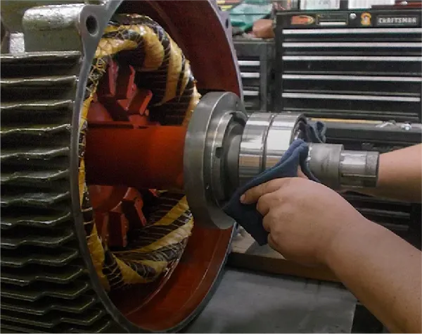 Motor Overhauling Service
