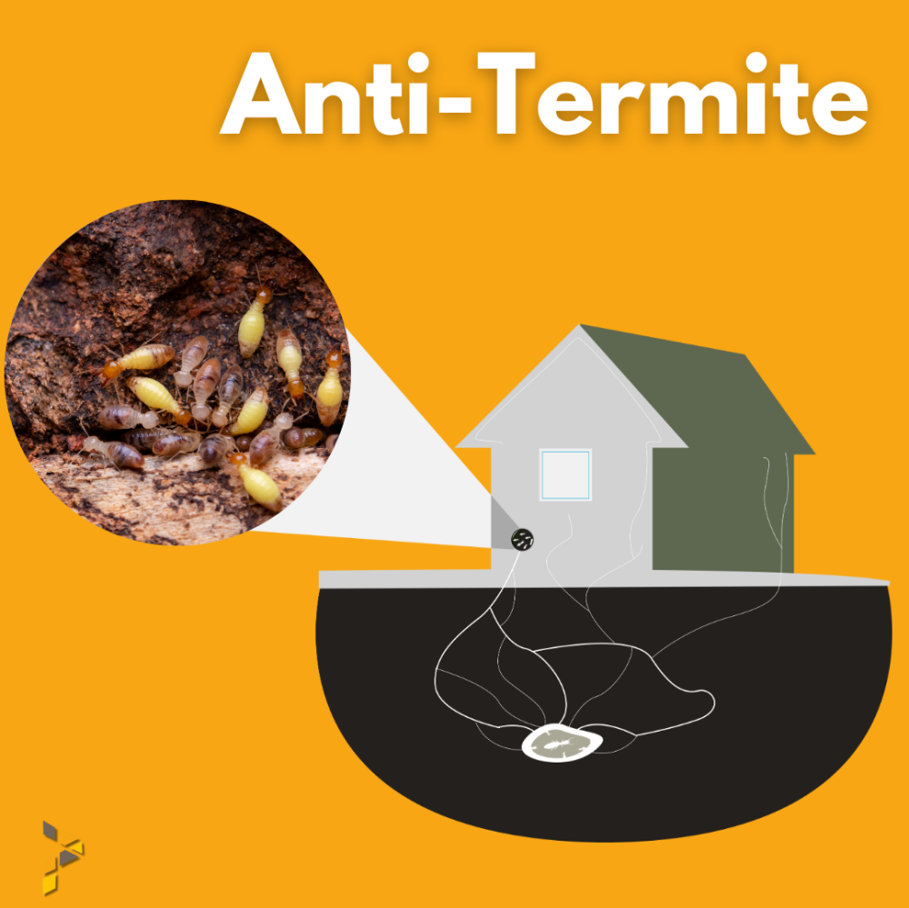 Anti Termite Treatment In Malaysia What Homeowners Developers Must Know anti-termite-treatment-in-malaysia-what-homeowners-developers-must-know