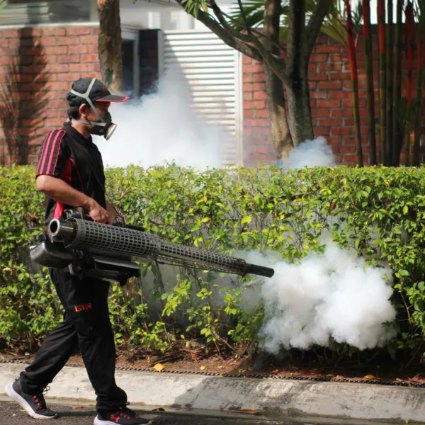 Mosquitoes Control
