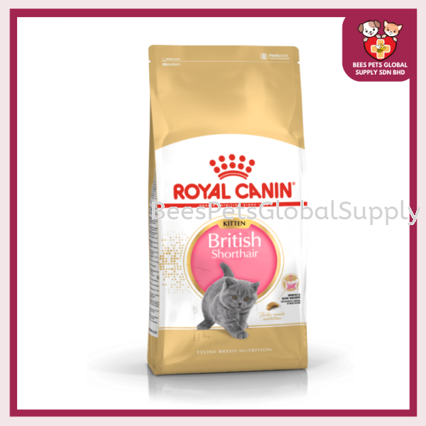 Royal Canin British Short Hair Kitten Dry Food 2kg Kitten Food Cat Dry Food Selangor, Malaysia, Kuala Lumpur (KL), Petaling Jaya (PJ) Supplier, Suppliers, Supply, Supplies | Bees Pets Global Supply Sdn. Bhd.