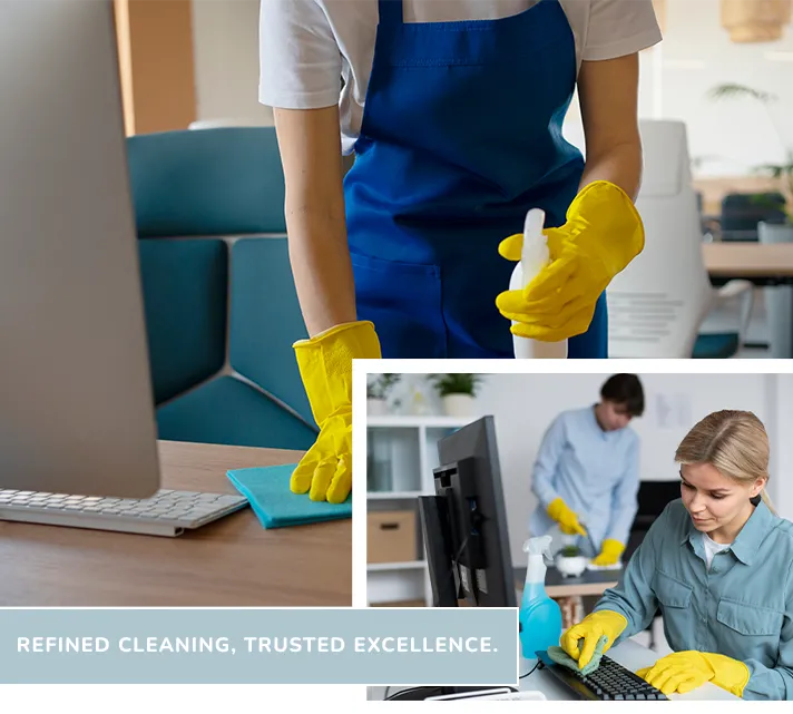 Mama Pro Clean Services Mama Pro Clean Services