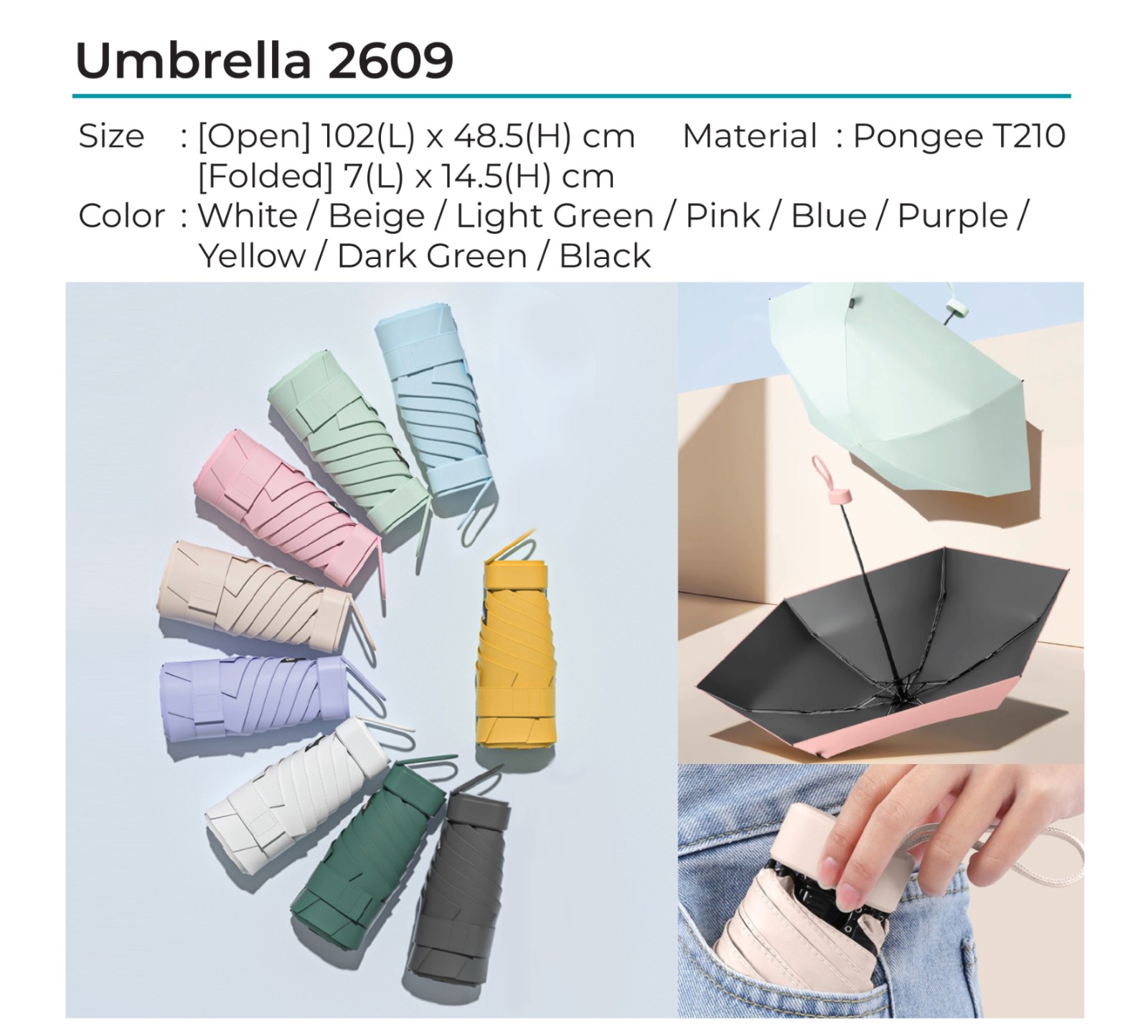 Umbrella 2609