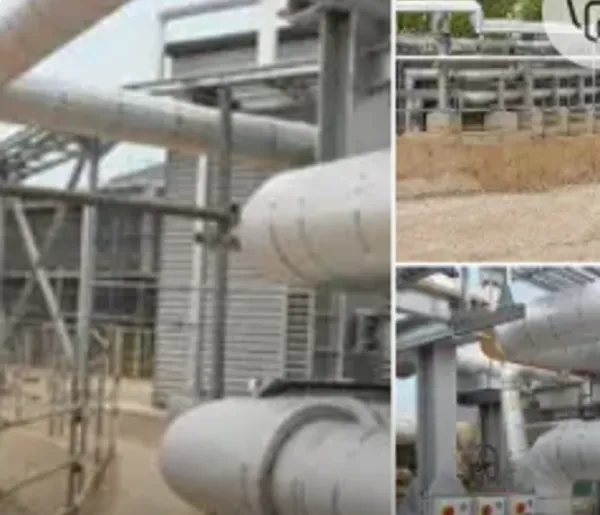 Thermal Insulation Service