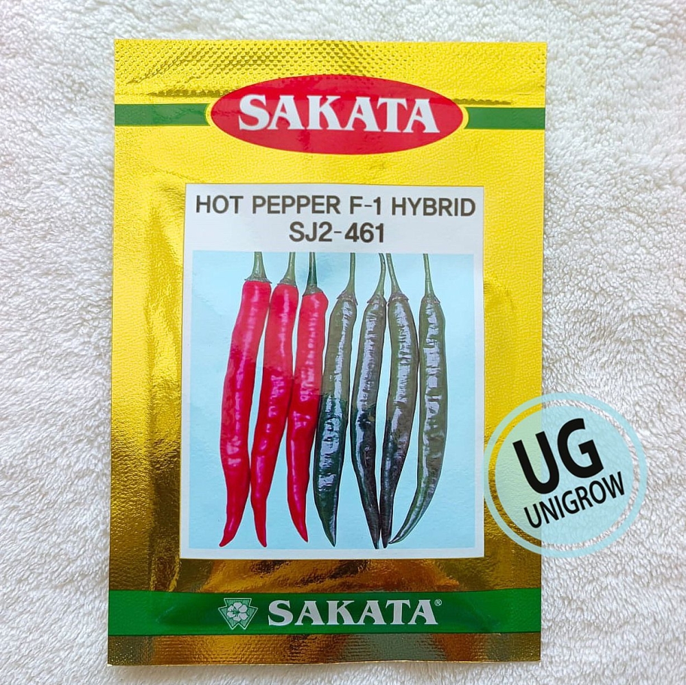 461 F1 Chili Sakata (10gm) 一代交配辣椒