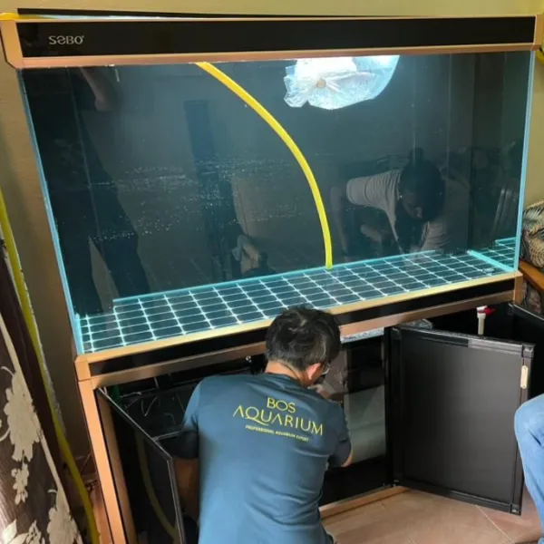 Aquarium Design & Installation