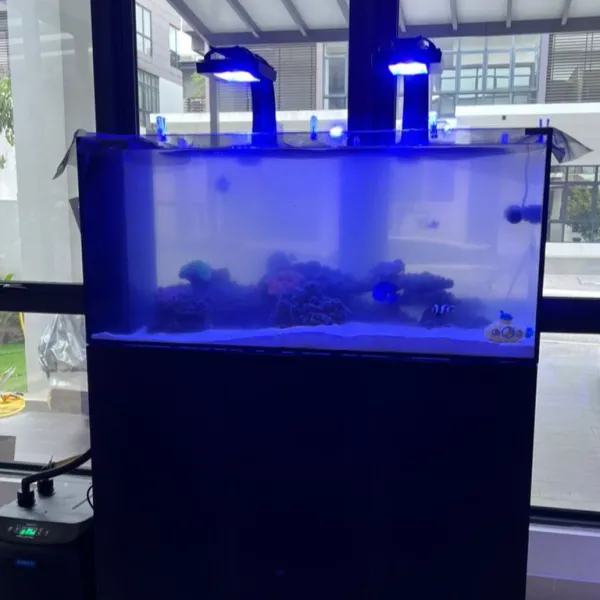 Marine Tank Full-equipped Setup