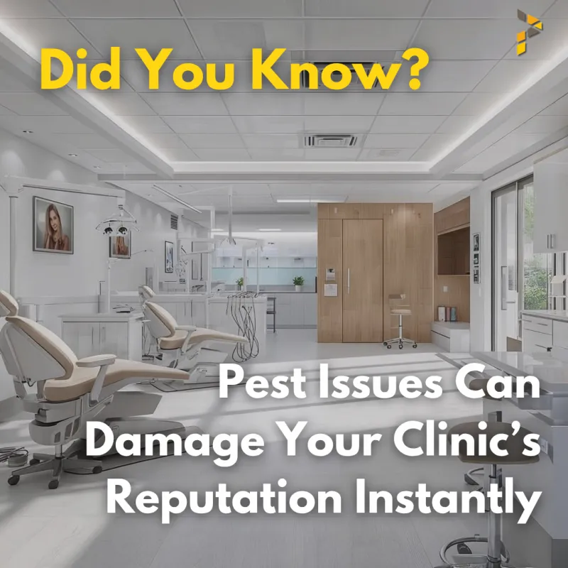 Pest Control Facts Every Clinic & Aesthetic Center in KL & Selangor Must KnowDid You Know? Pest Issues Can Damage Your Clinic’s Reputation Instantly