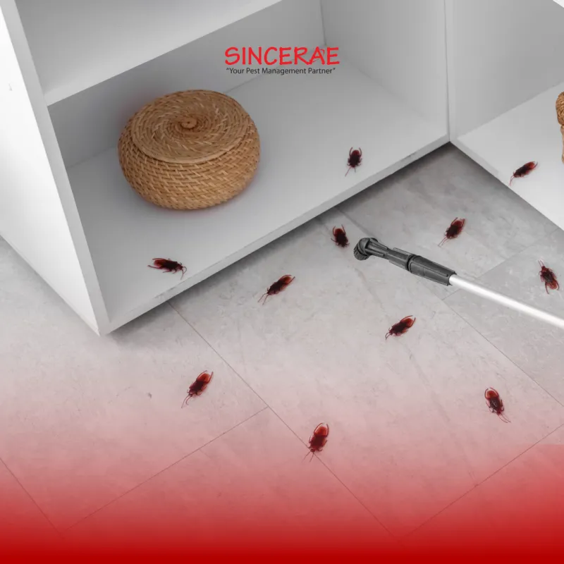 Preventive Pest Control vs Reactive Treatment: Which Saves You More Money?