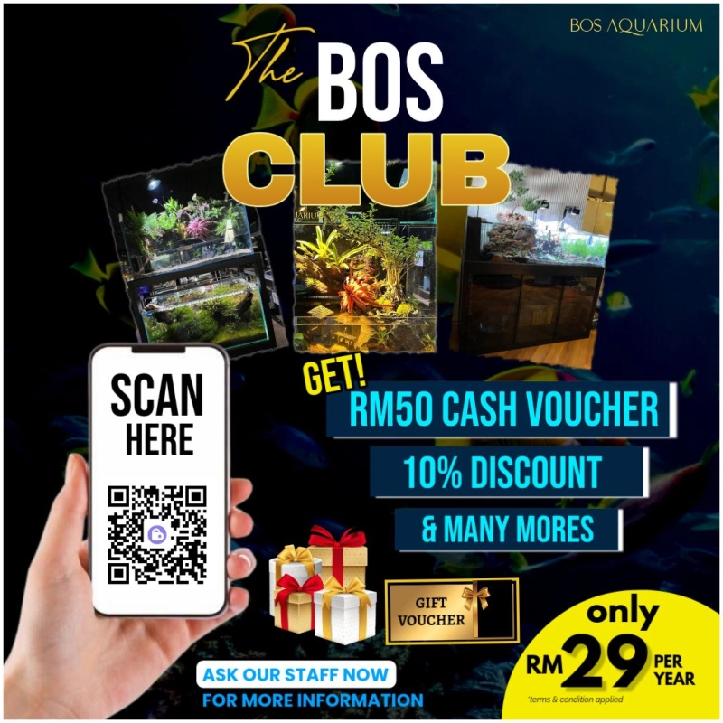 The BOS CLUB