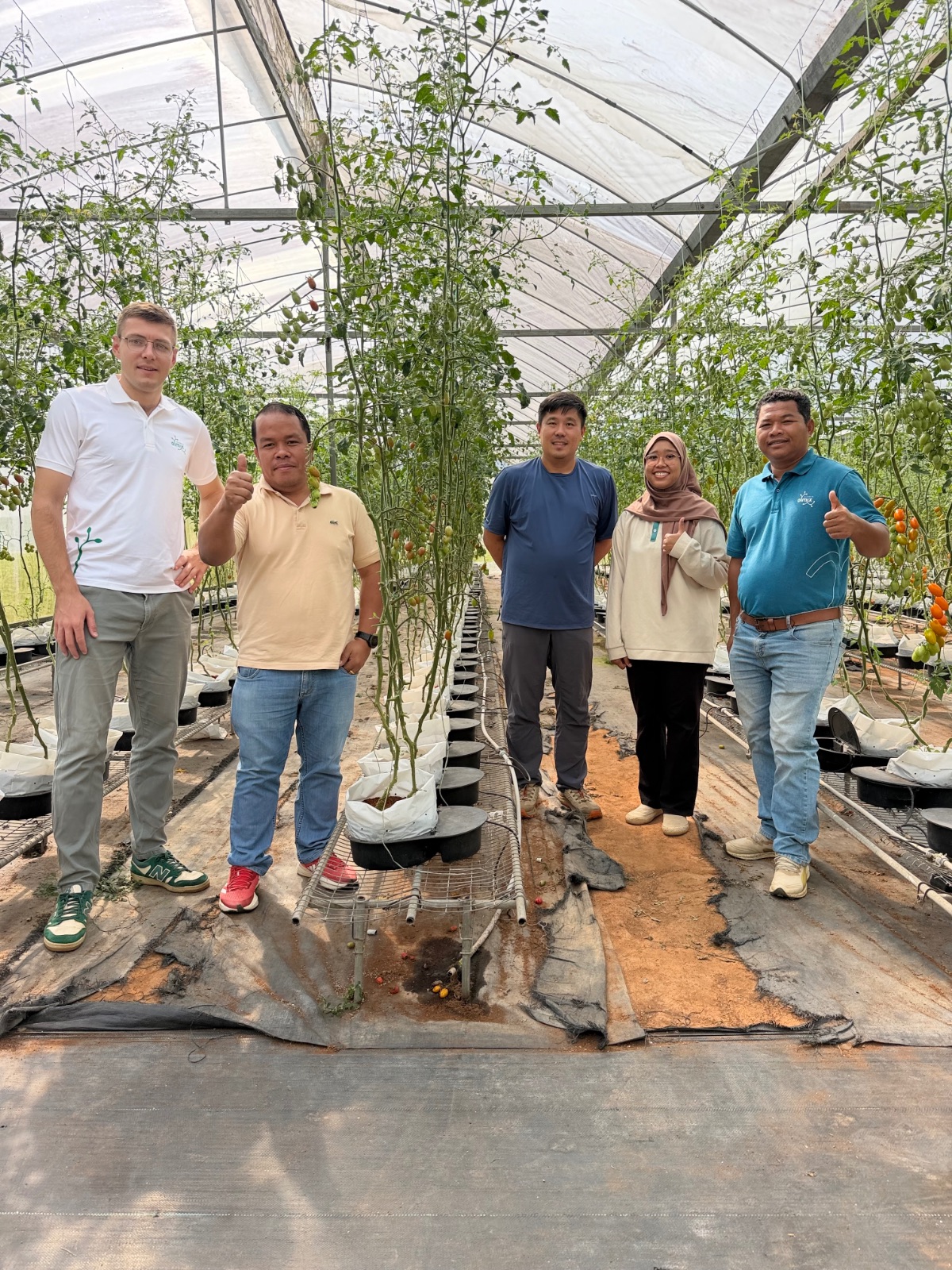 Case Study: Improving Fruit Quality and Shelf Life in Organic Farming