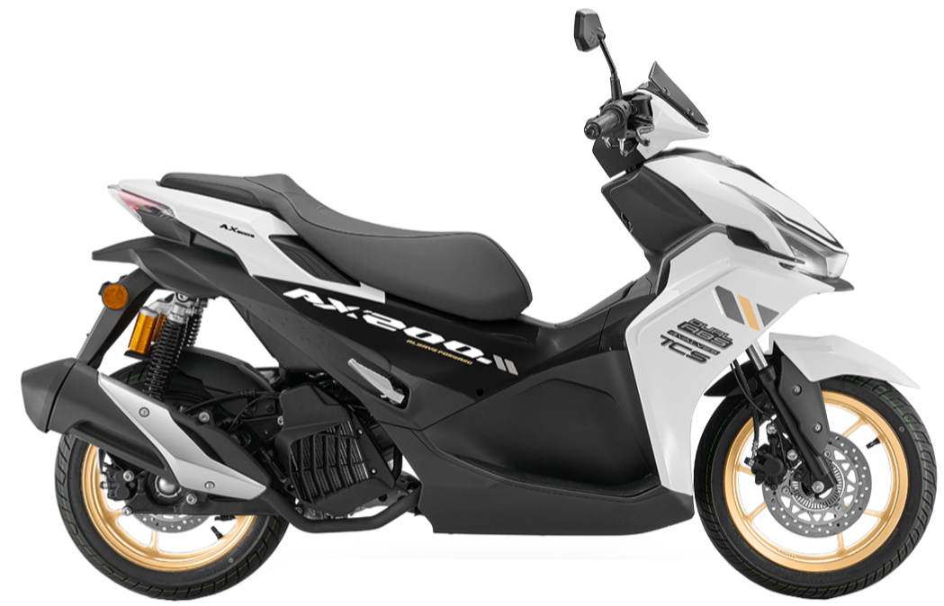 QJ MOTOR AX200S NEW