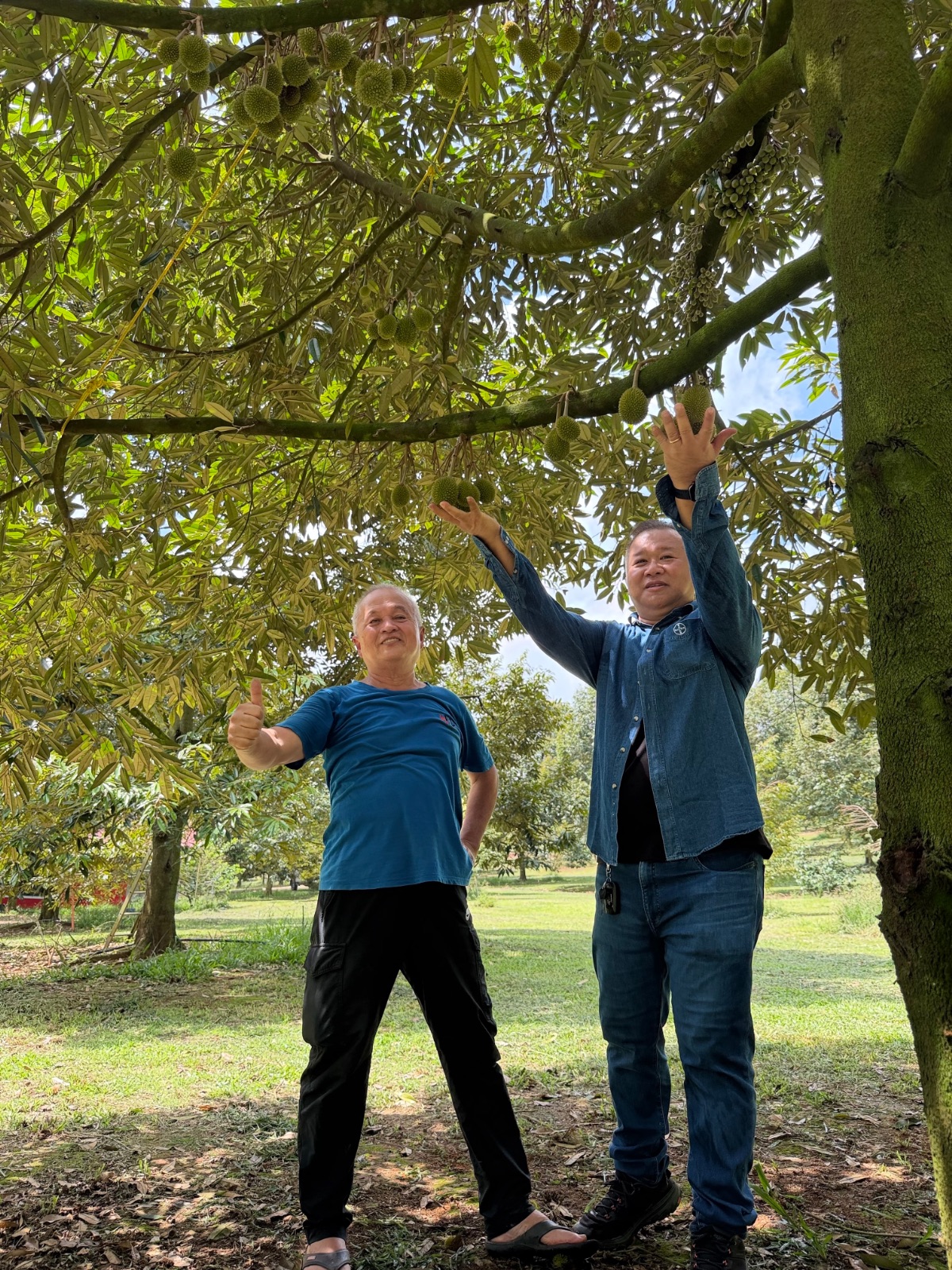 Case Study: Securing the Yield- From Flower to Fruit Success