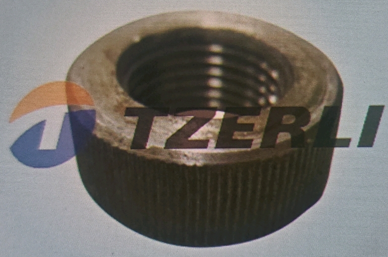 310976 OIL CLEANER NUT