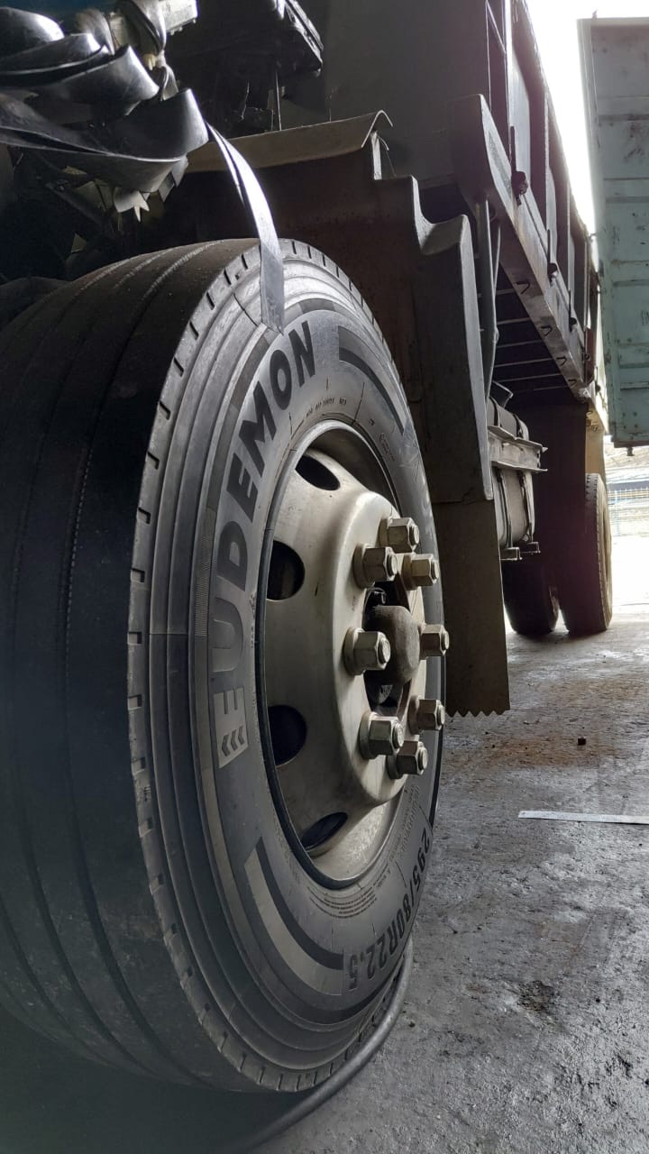 Eudemon Longrun Tire, All Steel Radial Truck Tyre 