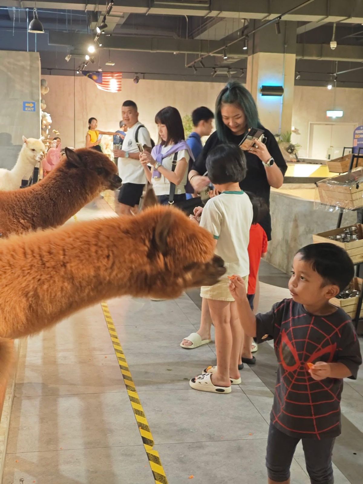 Zoo Malaysia School Holiday Activity at Just Farm