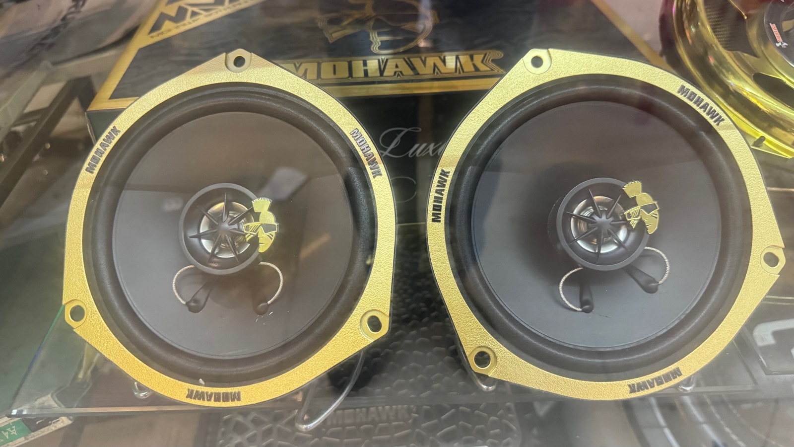 MOHAWK SPEAKER