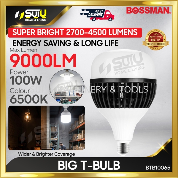 100W 9000LM (BTB10065)