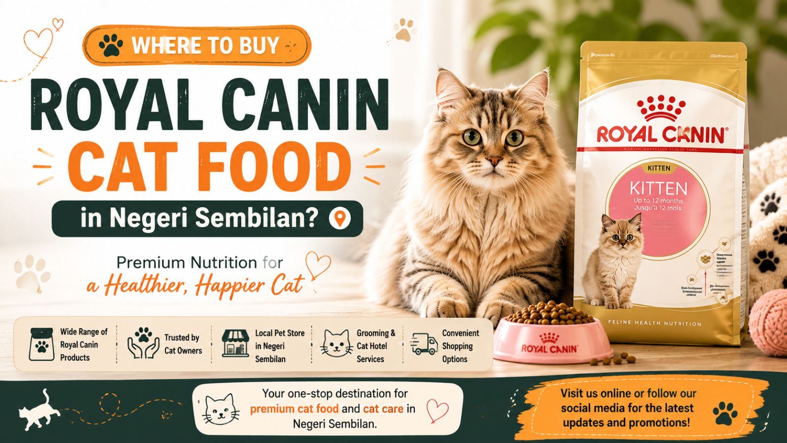 Where to Buy Royal Canin Cat Food in Negeri Sembilan?