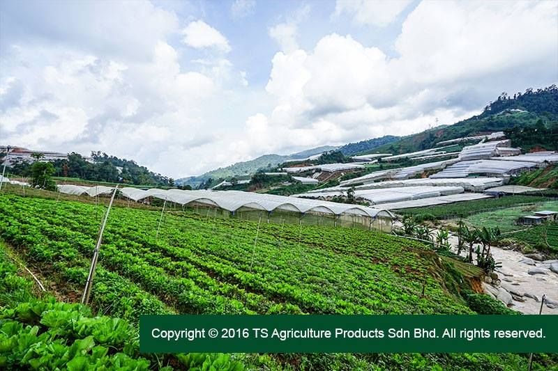 TS Agriculture Farming