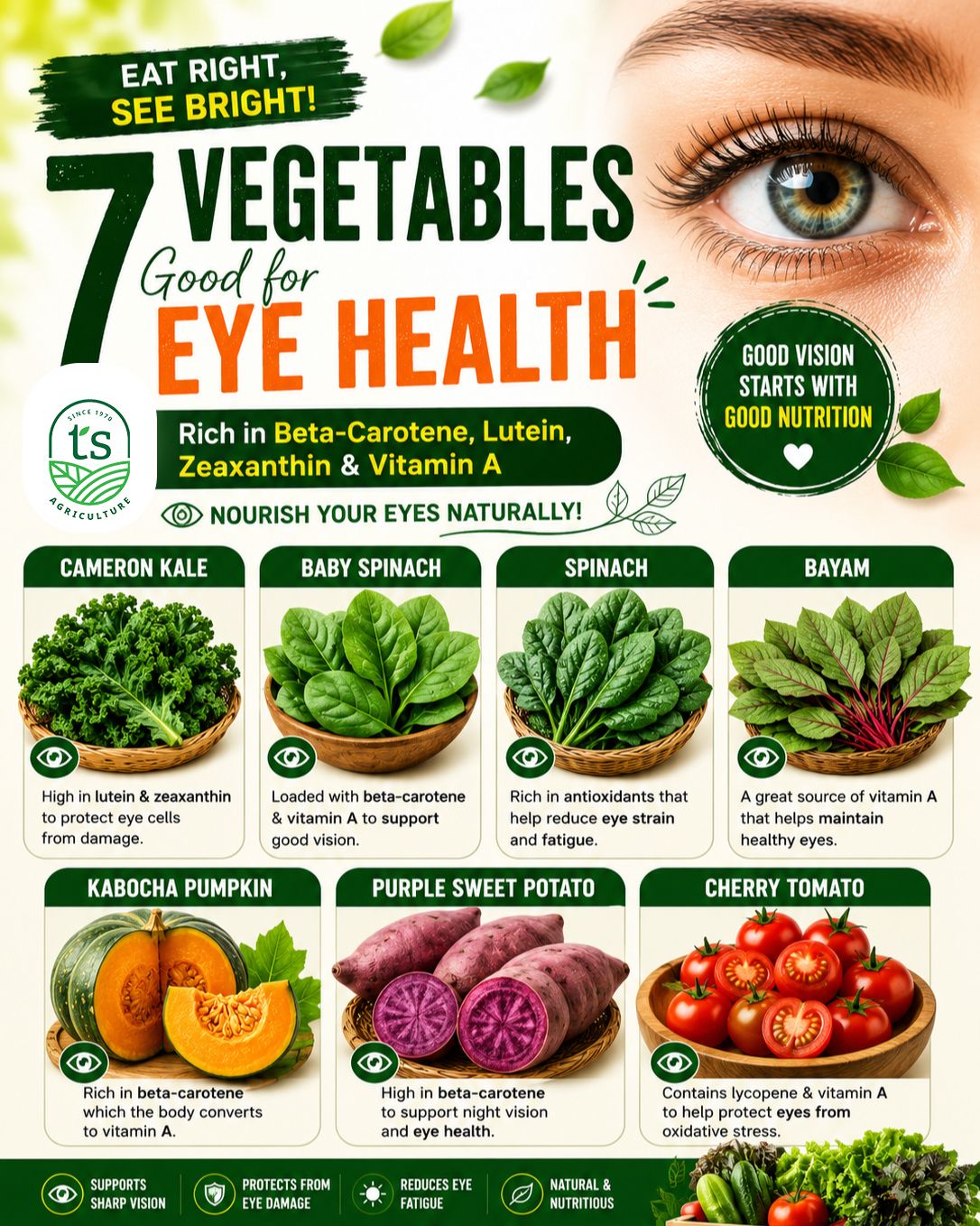 7 Powerhouse Vegetables to Keep Your Vision Sharp and Healthy