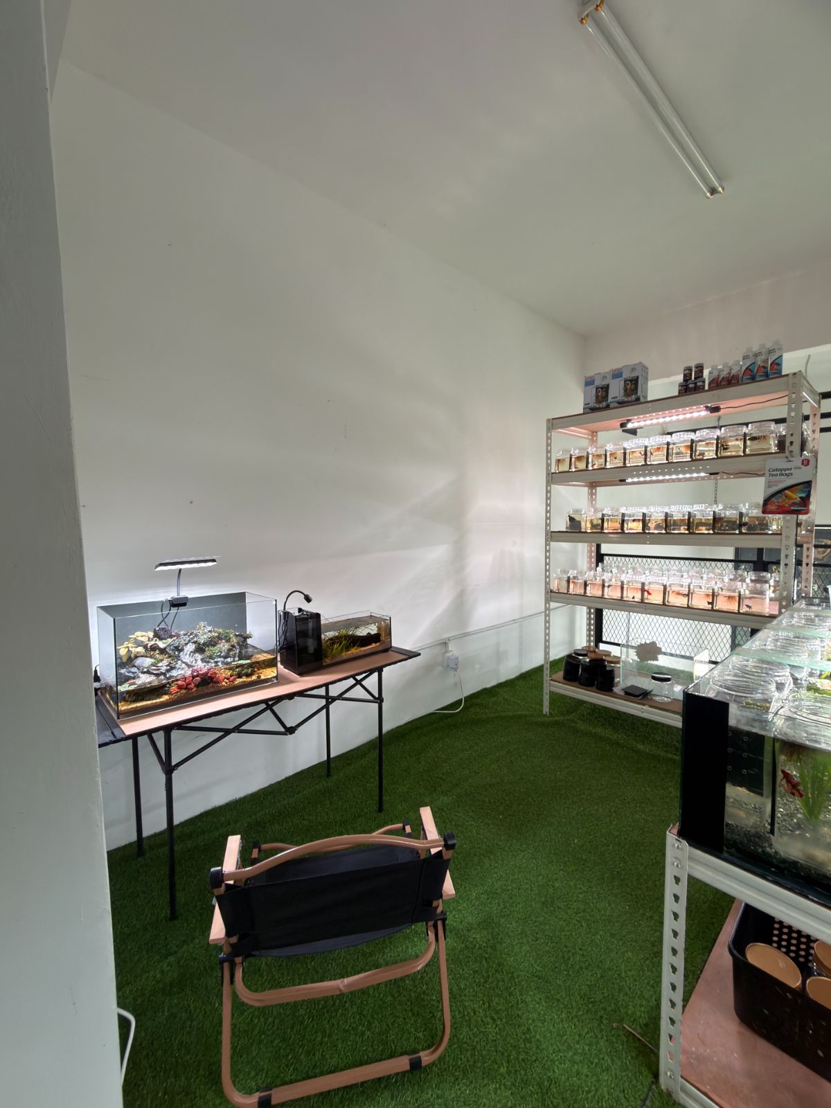The Boutique BETTA Studio