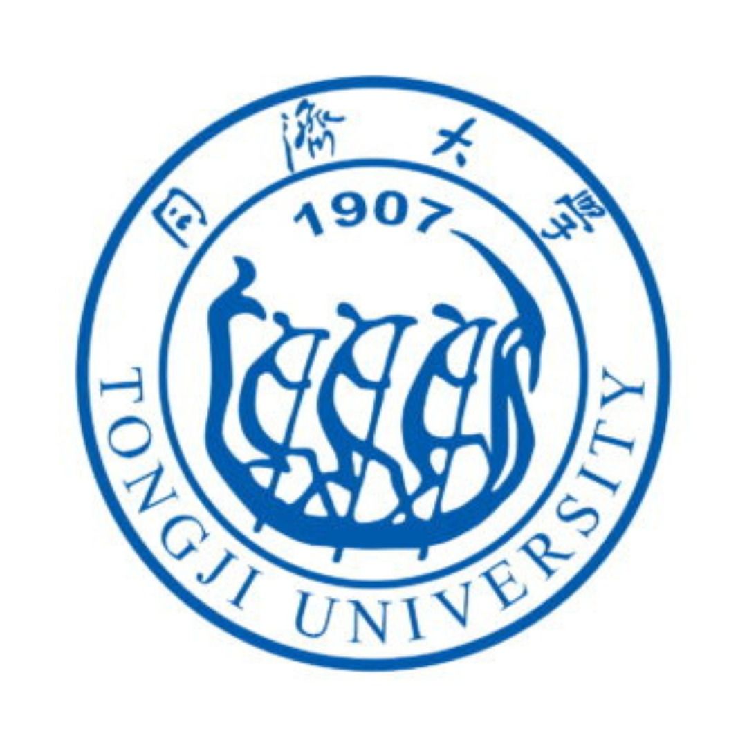 Bachelor of Traffic Engineering (Chinese‑medium) – Tongji University